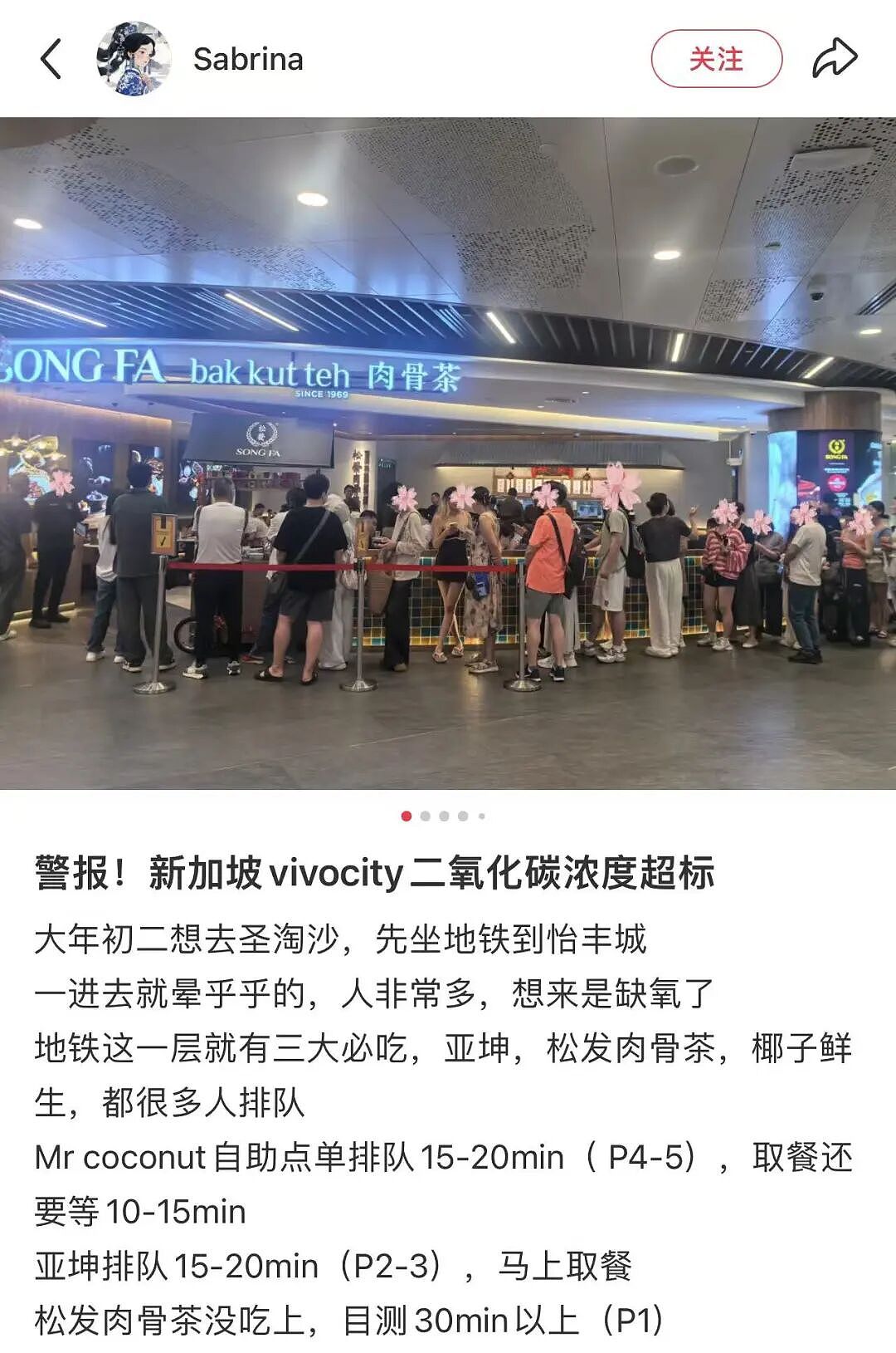 今年春节，新加坡彻底被中国游客“占领”了（组图） - 3