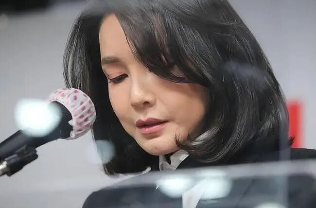 韩媒再扒皮前总统夫人惊悚上位史！整容行贿卖官助夫竞选，还想当第2个希拉里掌权？（组图） - 14