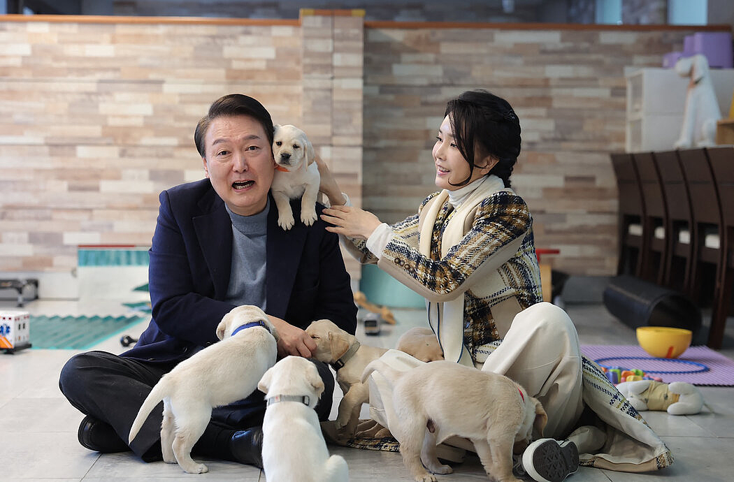 韩媒再扒皮前总统夫人惊悚上位史！整容行贿卖官助夫竞选，还想当第2个希拉里掌权？（组图） - 10