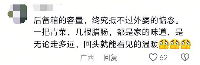 返程后备箱摄影大赛上热搜!“一辆车就把外婆的菜园打包了”(组图) - 6