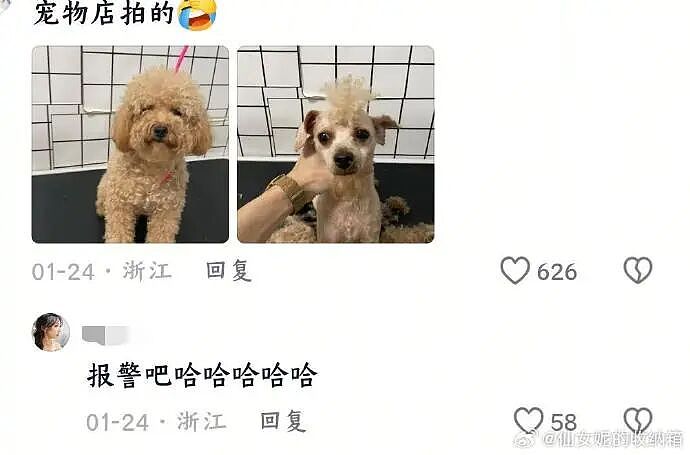 【爆笑】我生日男朋友说好转给我520，结果...？网友无语：不分手留着过年（组图） - 30