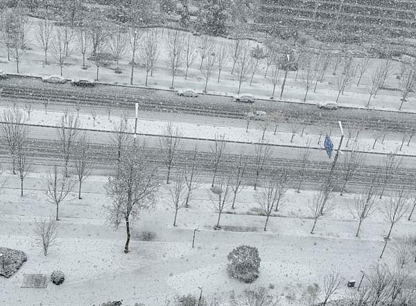 西安罕见下鹅毛大雪！居民全傻眼：老天爷，昨天还20多度（组图） - 1