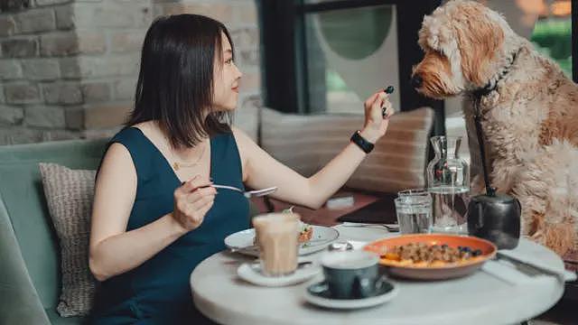 香港推动“宠物友善”餐厅促经济　会让业界陷入两难吗（组图） - 7