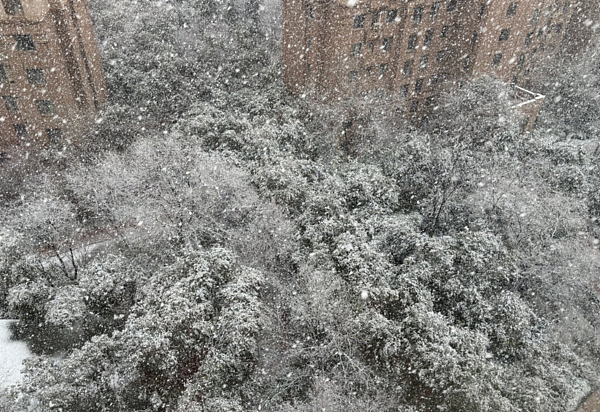 西安罕见下鹅毛大雪！居民全傻眼：老天爷，昨天还20多度（组图） - 2