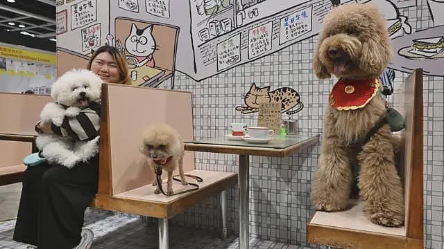香港推动“宠物友善”餐厅促经济　会让业界陷入两难吗（组图） - 3