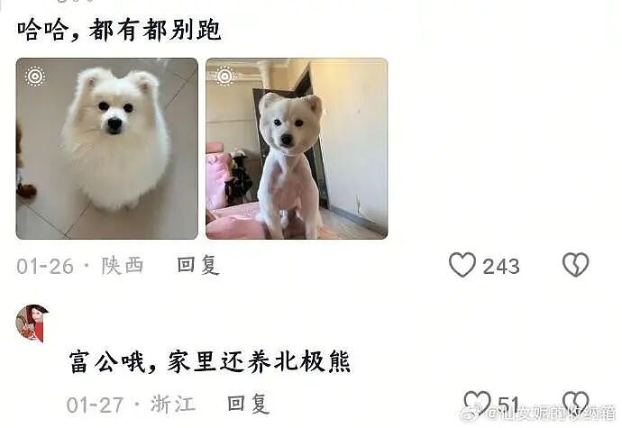 【爆笑】我生日男朋友说好转给我520，结果...？网友无语：不分手留着过年（组图） - 34