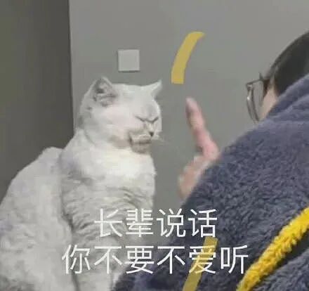 【宠物】小姐姐去亲戚家拜年，送了一条巨型海参，网友质疑买到假货，细看后抢着要（组图） - 14