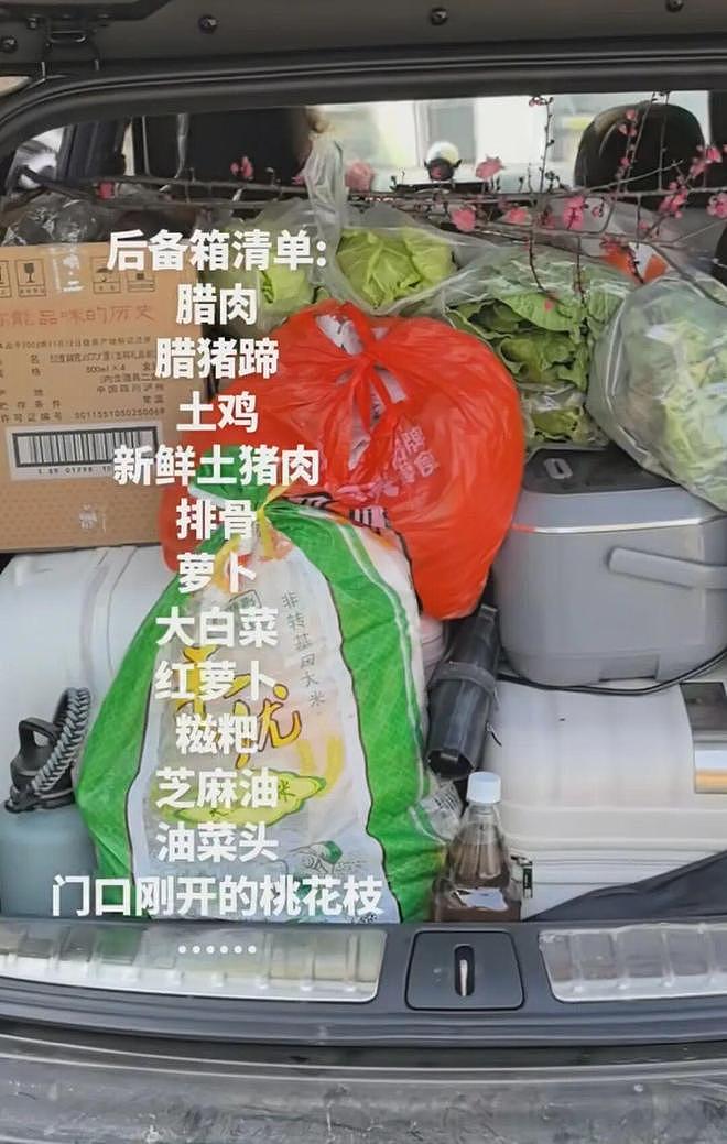 返程后备箱摄影大赛上热搜!“一辆车就把外婆的菜园打包了”(组图) - 7