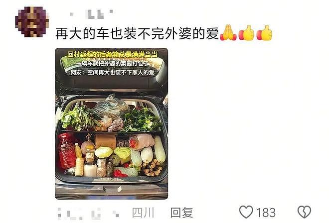 返程后备箱摄影大赛上热搜!“一辆车就把外婆的菜园打包了”(组图) - 4