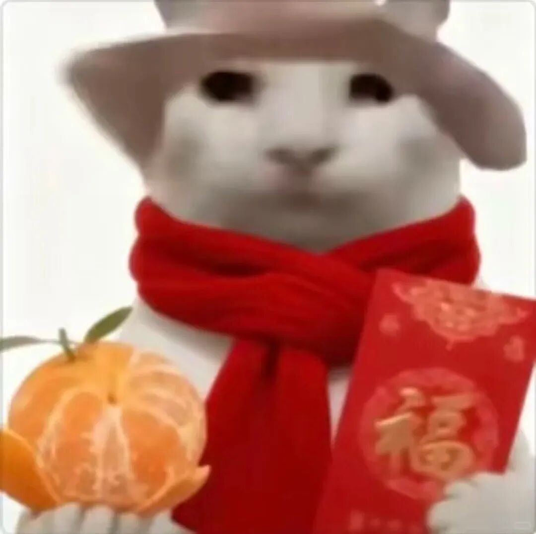 【宠物】小姐姐去亲戚家拜年，送了一条巨型海参，网友质疑买到假货，细看后抢着要（组图） - 1