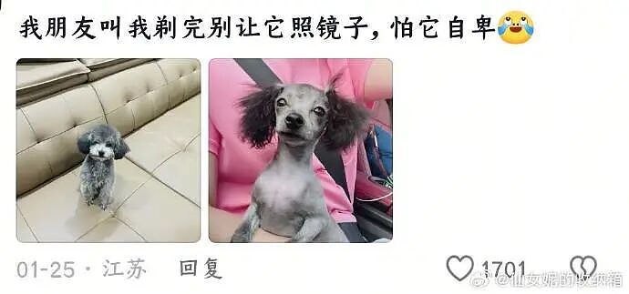 【爆笑】我生日男朋友说好转给我520，结果...？网友无语：不分手留着过年（组图） - 35