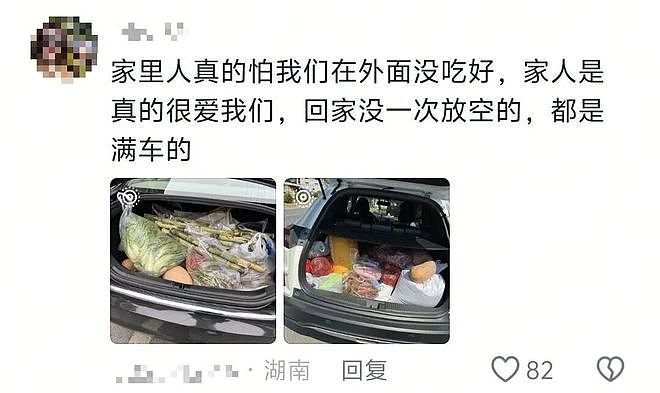 返程后备箱摄影大赛上热搜!“一辆车就把外婆的菜园打包了”(组图) - 5