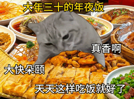 【宠物】小姐姐去亲戚家拜年，送了一条巨型海参，网友质疑买到假货，细看后抢着要（组图） - 16