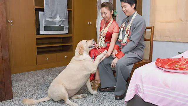 香港推动“宠物友善”餐厅促经济　会让业界陷入两难吗（组图） - 10
