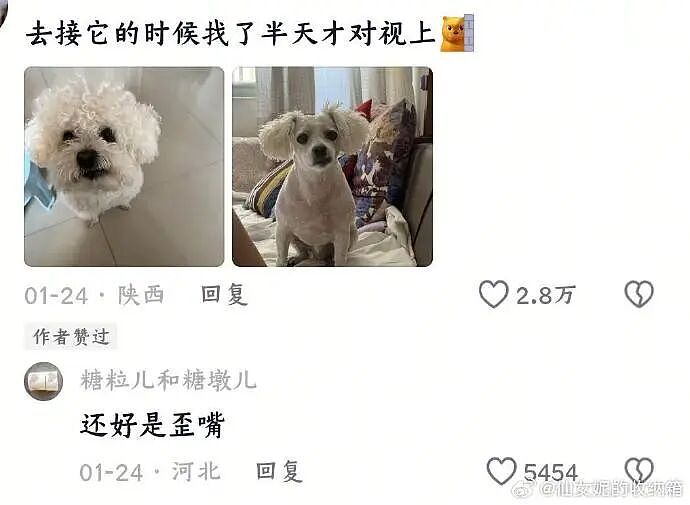 【爆笑】我生日男朋友说好转给我520，结果...？网友无语：不分手留着过年（组图） - 36