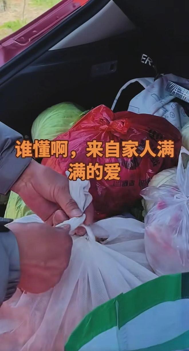 返程后备箱摄影大赛上热搜!“一辆车就把外婆的菜园打包了”(组图) - 15