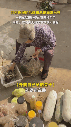 返程后备箱摄影大赛上热搜!“一辆车就把外婆的菜园打包了”(组图) - 3