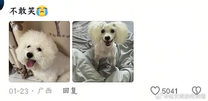 【爆笑】我生日男朋友说好转给我520，结果...？网友无语：不分手留着过年（组图） - 31