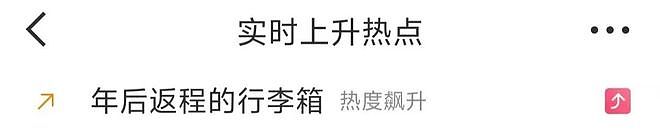 返程后备箱摄影大赛上热搜!“一辆车就把外婆的菜园打包了”(组图) - 1