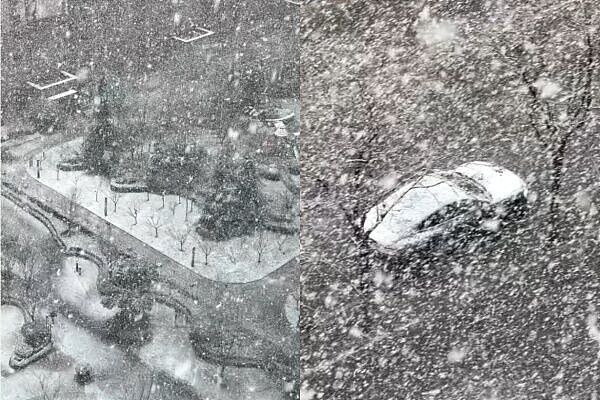 西安罕见下鹅毛大雪！居民全傻眼：老天爷，昨天还20多度（组图） - 8