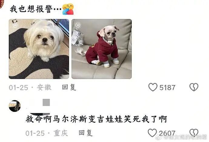 【爆笑】我生日男朋友说好转给我520，结果...？网友无语：不分手留着过年（组图） - 32