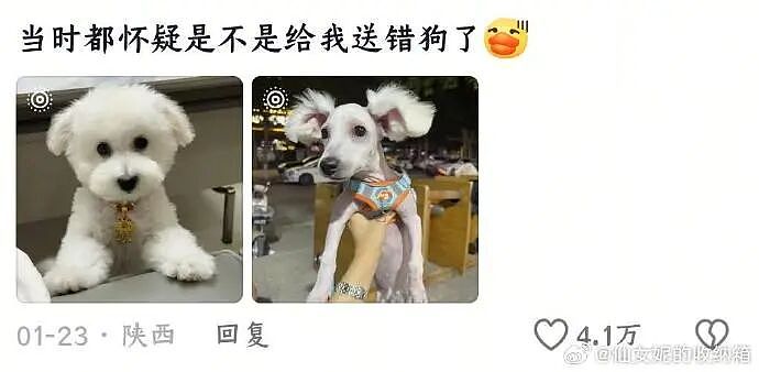 【爆笑】我生日男朋友说好转给我520，结果...？网友无语：不分手留着过年（组图） - 33
