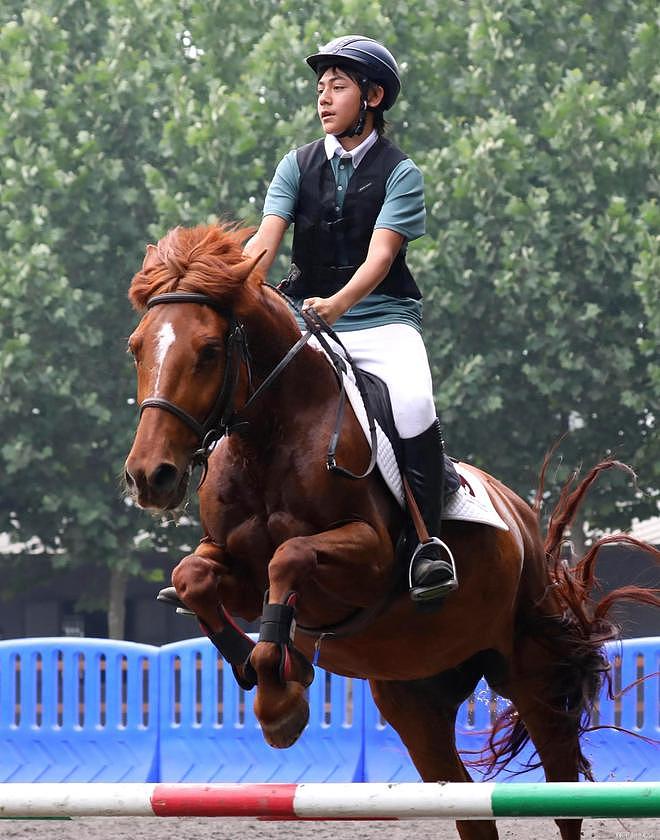 刘烨妻安娜晒儿女骑马照，诺一帅气霓娜飒美（组图） - 1