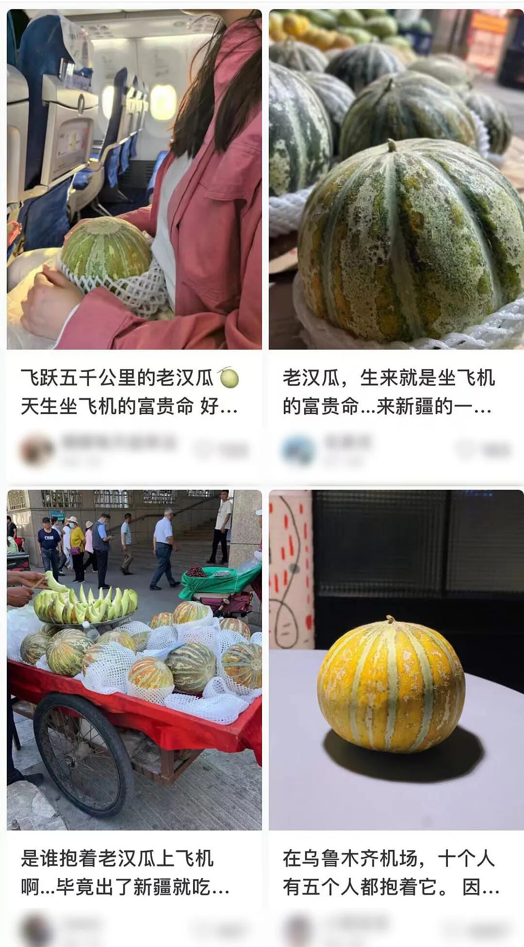 全国最生猛的豪宅，新疆占一半（组图） - 2