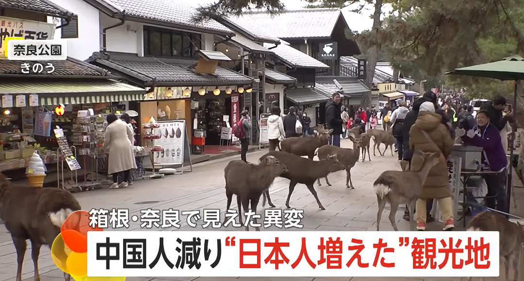 春节赴日游客暴跌,日本网友嘴硬称“找回古都宁静”?专家:要亏1兆8000亿(组图) - 1