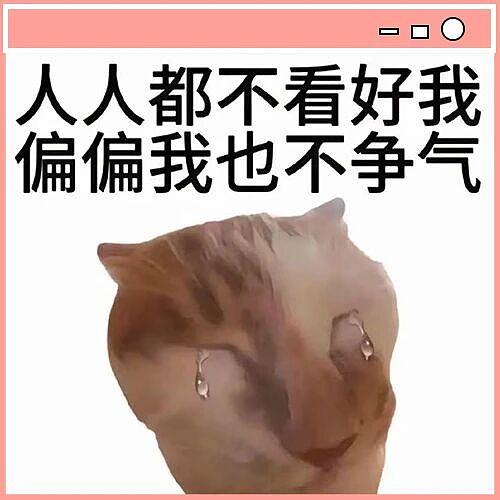 【爆笑】“无陪儿童在机场的地位有多高...？”哈哈哈我是小皇帝现实版！（组图） - 12