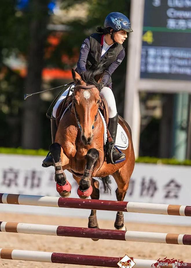 刘烨妻安娜晒儿女骑马照，诺一帅气霓娜飒美（组图） - 12