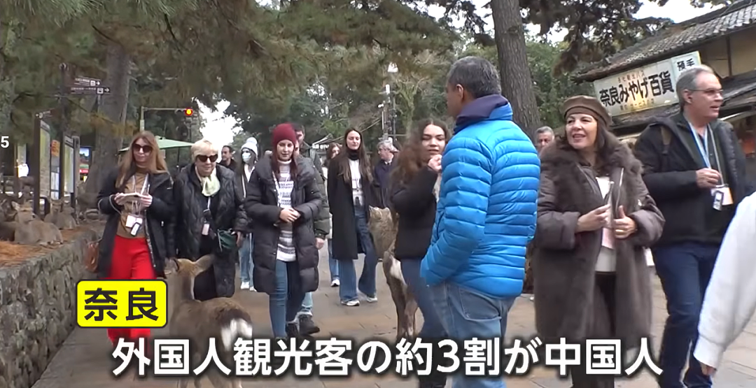 春节赴日游客暴跌,日本网友嘴硬称“找回古都宁静”?专家:要亏1兆8000亿(组图) - 3