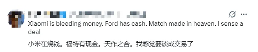 福特真跟小米联姻,也难扳回这一城(组图) - 8