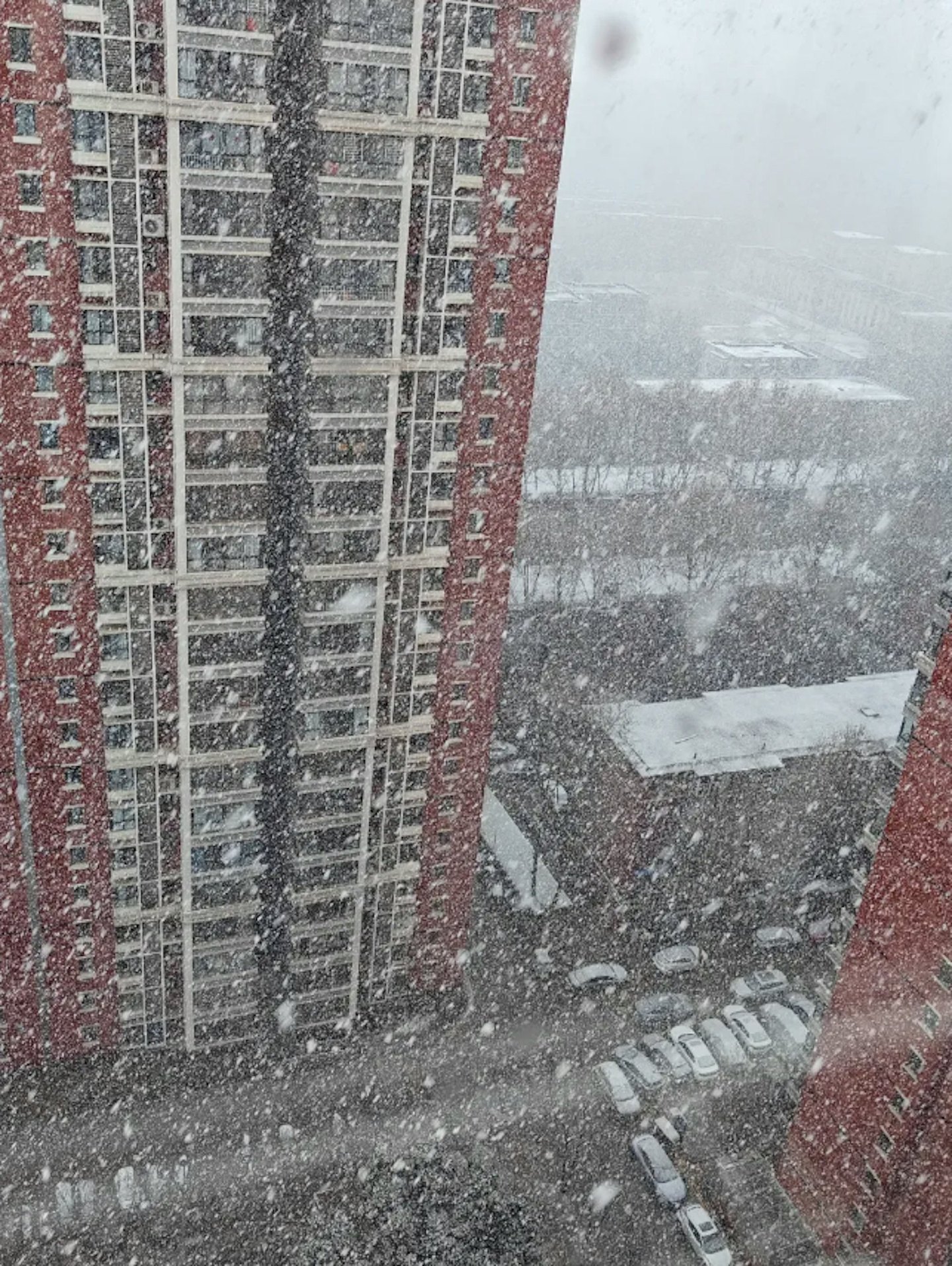 西安一日跌20度突降暴雪！前一天还热到穿短袖...（组图） - 6
