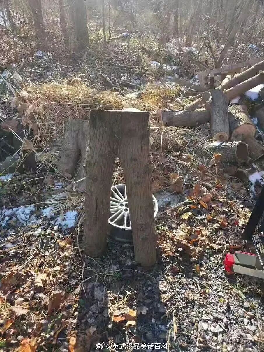 【爆笑】“网上九块九抢的破监控竟然拍到了...?”哈哈哈这在走近科学够拍好几集!(组图) - 28
