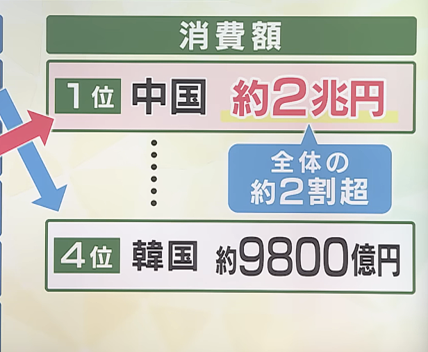 春节赴日游客暴跌,日本网友嘴硬称“找回古都宁静”?专家:要亏1兆8000亿(组图) - 21