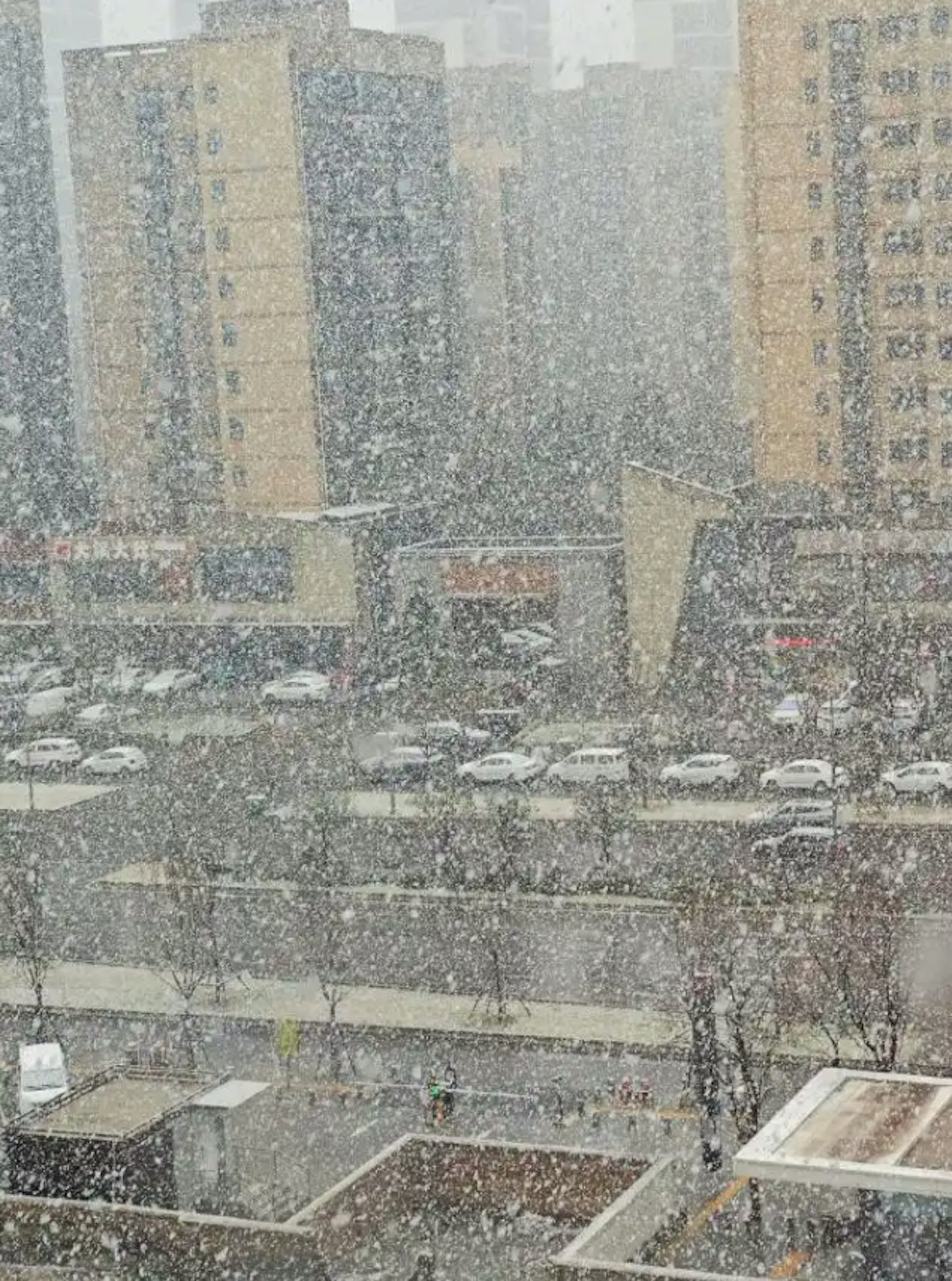西安一日跌20度突降暴雪！前一天还热到穿短袖...（组图） - 4