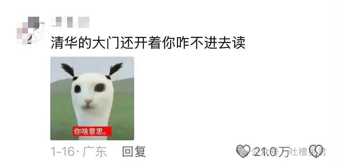 【爆笑】“网上九块九抢的破监控竟然拍到了...?”哈哈哈这在走近科学够拍好几集!(组图) - 57