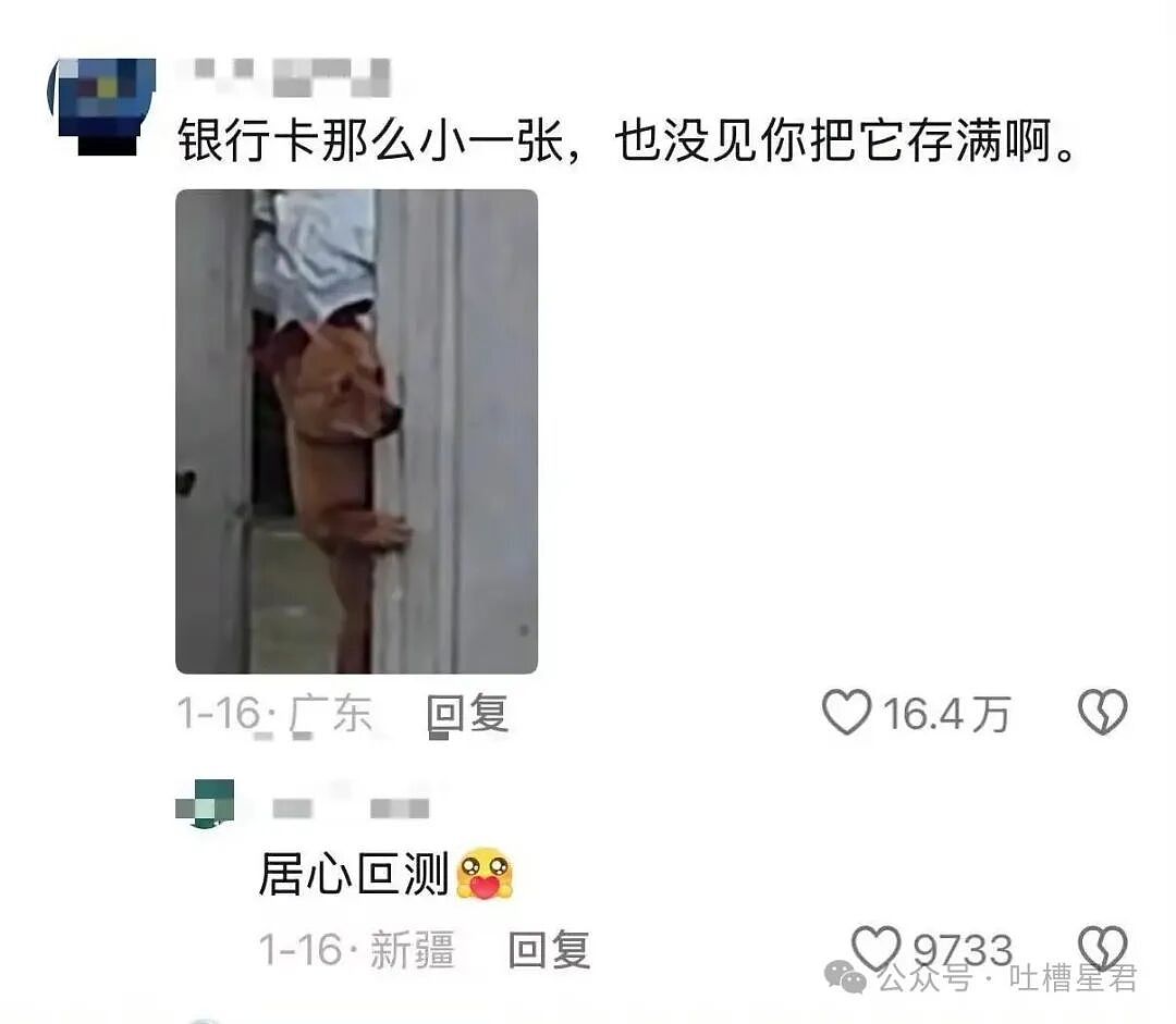 【爆笑】“网上九块九抢的破监控竟然拍到了...?”哈哈哈这在走近科学够拍好几集!(组图) - 58