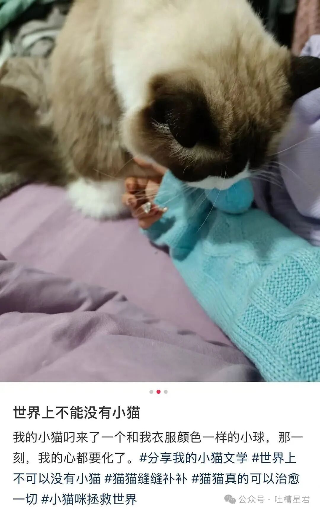【爆笑】“网上九块九抢的破监控竟然拍到了...?”哈哈哈这在走近科学够拍好几集!(组图) - 53