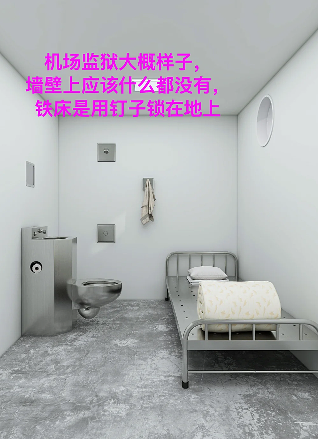 一夜变“嫌犯”，H1B回美被关小黑屋，逼签取消签证否则5年禁入（组图） - 3
