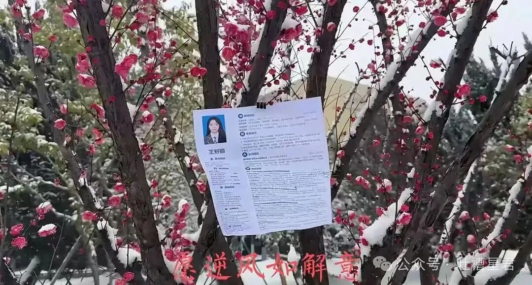 【爆笑】“网上九块九抢的破监控竟然拍到了...?”哈哈哈这在走近科学够拍好几集!(组图) - 47