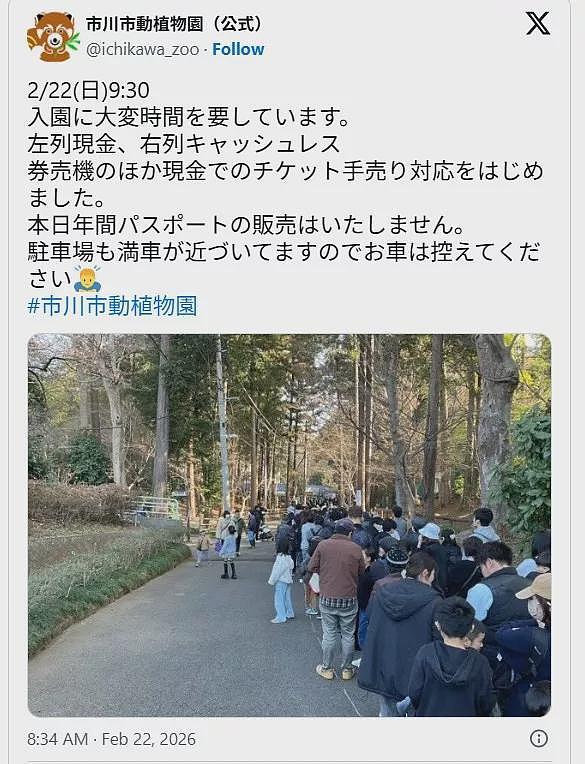 日本小猴子全球爆红，美网红砸重金买猴遭拒（组图） - 3
