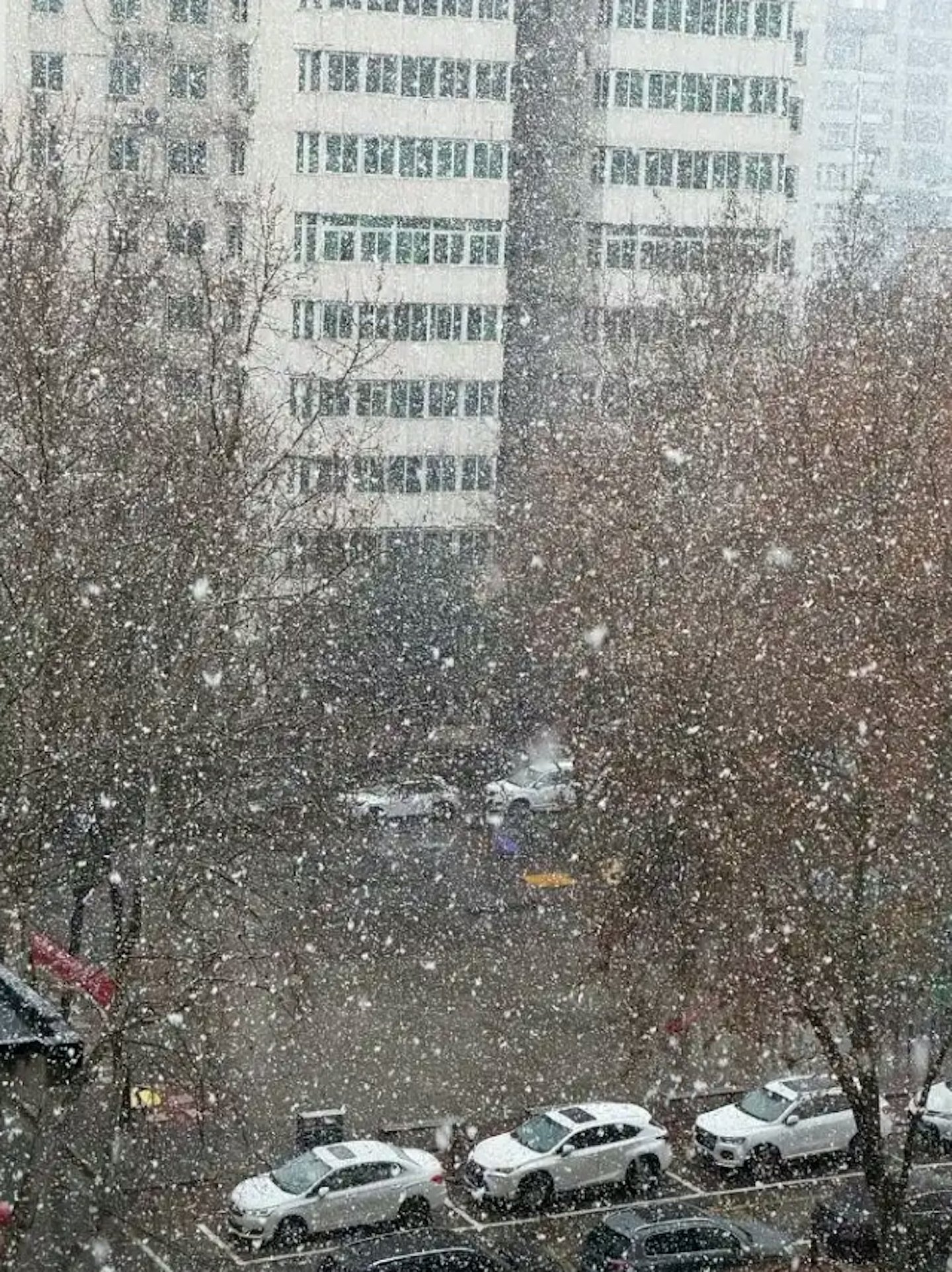 西安一日跌20度突降暴雪！前一天还热到穿短袖...（组图） - 2