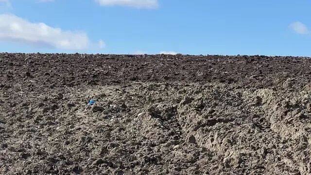 恐怖!华人富商被女子约会引诱,惨遭绑架撕票,埋尸荒野!大笔资金被转走(组图) - 7