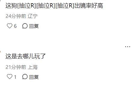 刘亦菲INS晒新照:抱着爱犬外出散步,素颜出镜气色佳!(组图) - 6
