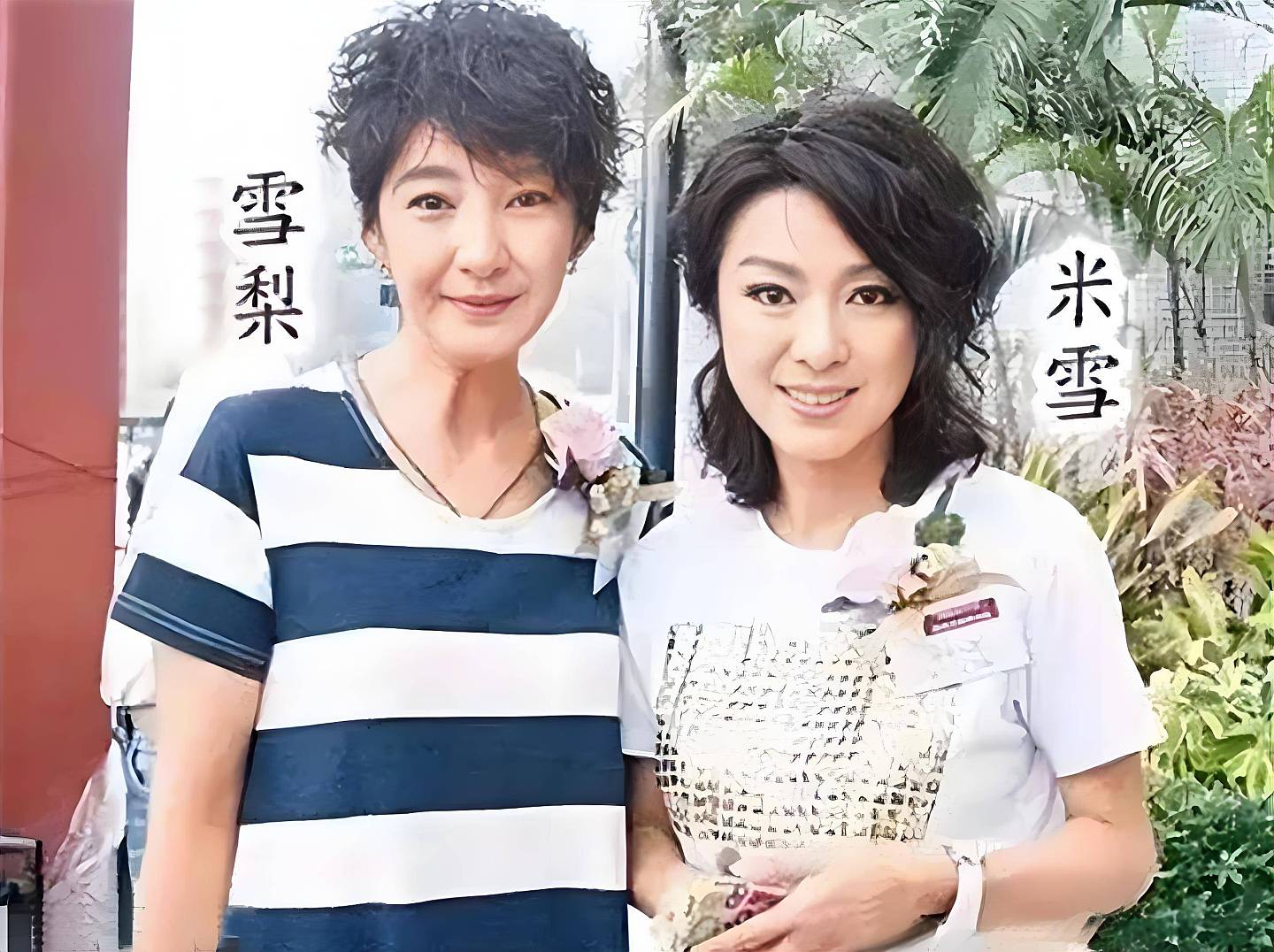 米雪首次上央视春晚！她71岁仍未婚单身...（组图） - 9