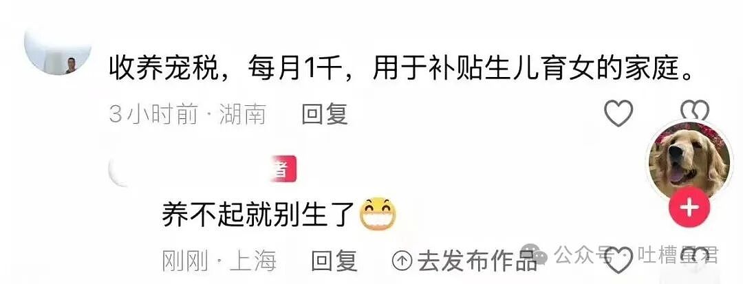 【爆笑】“求前任复合求到了拼夕夕上…?”哈哈哈痴情的人们又有新招了!(组图) - 22