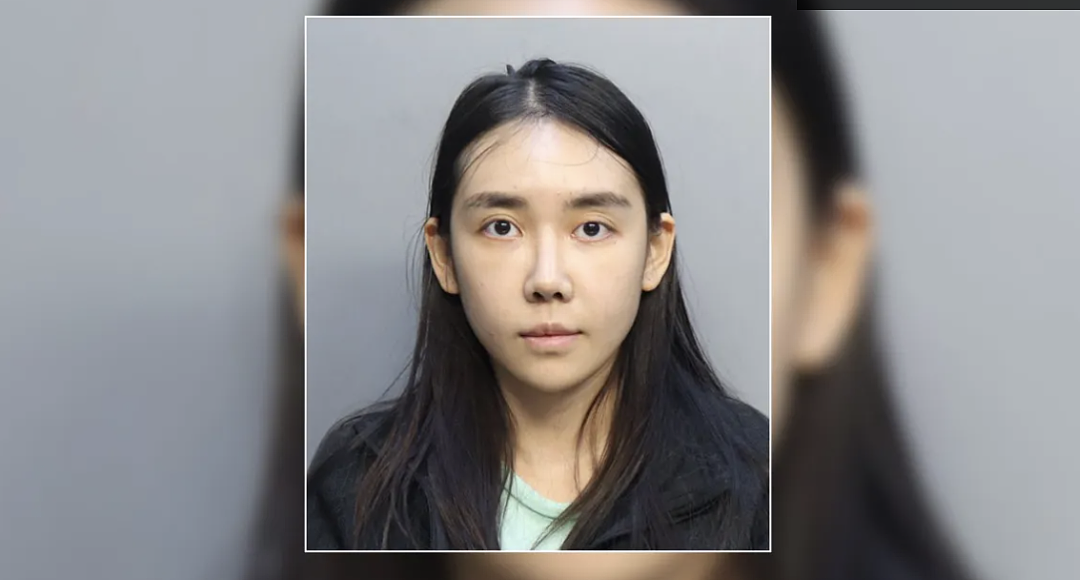 24岁华人女子拿假资料“买”特斯拉被抓!网友挖出猛料(组图) - 1