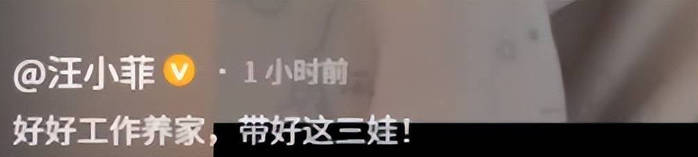 汪小菲官宣三胎出生:晒马筱梅与儿子合照(组图) - 2
